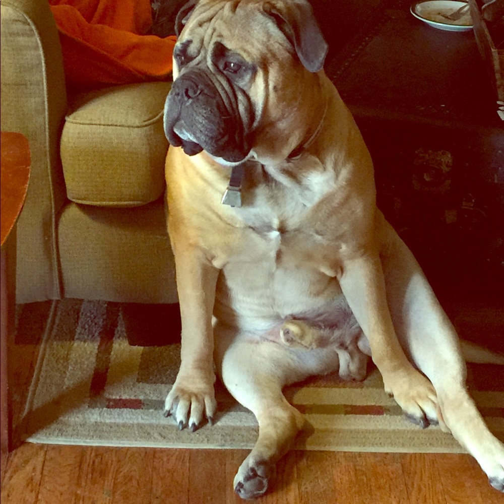 Meet your Posher, Anna